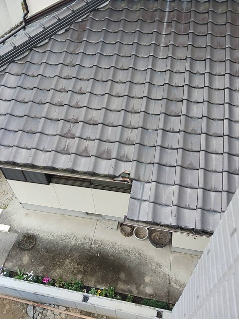 瓦交換も承ってます